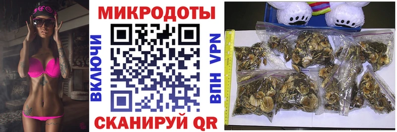 дарнет шоп  MEGA ONION  Псилоцибиновые грибы прущие грибы  Циолковский 